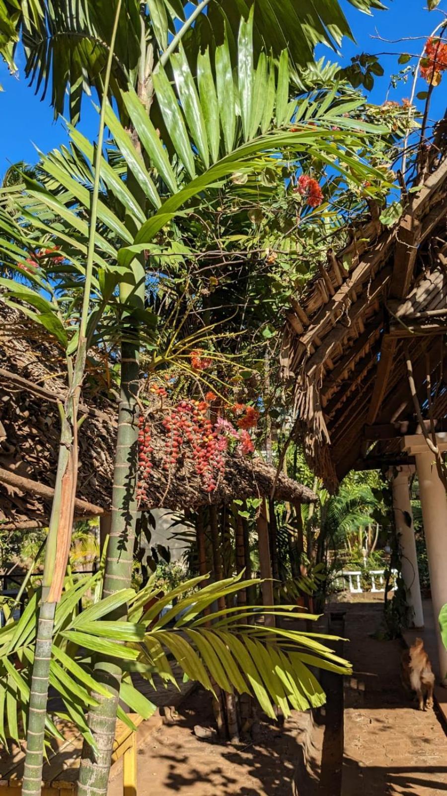 Ar Sun Hotel Antsiranana エクステリア 写真